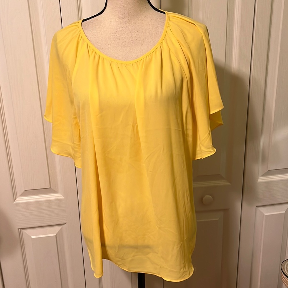 Ann Taylor Factory blouse.